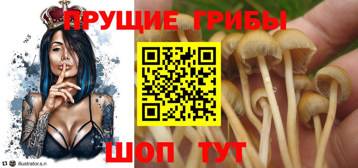 Псилоцибиновые грибы GOLDEN TEACHER  Вход с VPN  Карталы  Псилоцибиновые грибы ЛСД 